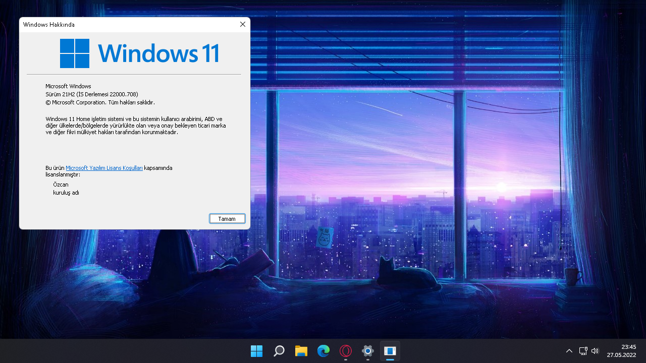 Windows 11 ISO Türkçe İndir: En Güncel Sürümü Hemen İndirin 6 1653684335235 png